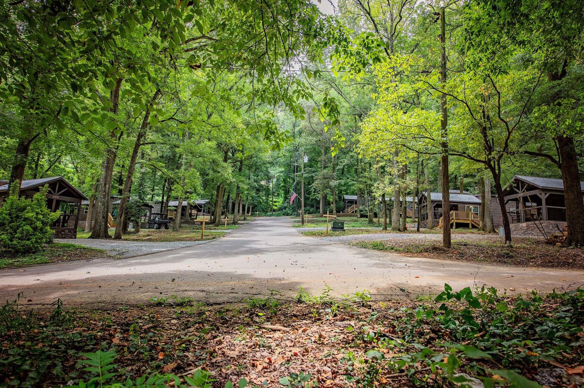 Sophie National Forest Tiny Chattanooga