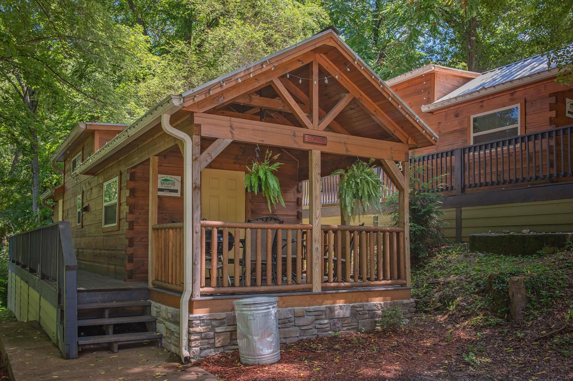 Sophie National Forest Tiny * Chattanooga